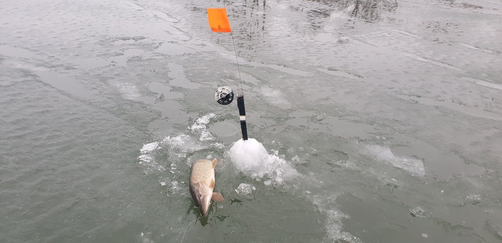 жерлицы для новичка 00010.JPG